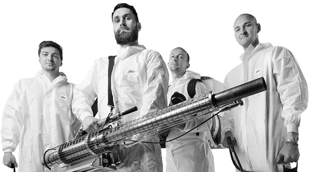 Tím Ecoder, štyria zamestnanci Ecoder tímu v ochrannom oblečení s postrekovačom